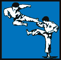 Kampfsportschule Homburg 